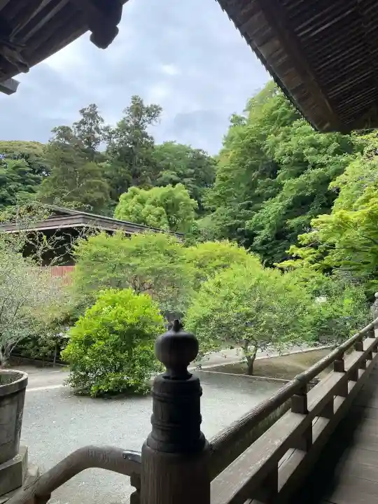 妙本寺の{uncategorized: "未分類", other: "その他", undefined: "問題あり", building: "その他建物", grave: "お墓", sacred_gate: "鳥居", guardian: "狛犬", statue: "像", buddha: "仏像", history: "歴史", nature: "自然", garden: "庭園", animal: "動物", pagoda: "塔", temizu: "手水舎", mountain_gate: "山門・神門", sanctuary: "本殿・本堂", subordinate: "末社・摂社", art: "芸術", scenery: "景色", jizo: "地蔵", ema: "絵馬", goshuin: "御朱印", omikuji: "おみくじ", items: "授与品その他", amulet: "お守り", goshuincho: "御朱印帳", eats: "食事", festival: "お祭り", votive_dance: "神楽", shichigosan: "七五三参", wedding: "結婚式", experience: "体験その他", initially: "初詣", around: "周辺", anti_infection: "感染症対策"}