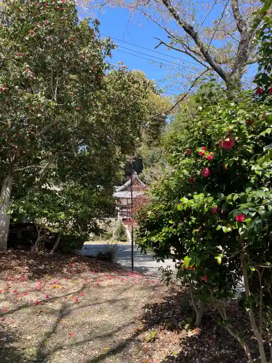 平岡八幡宮(京都府)