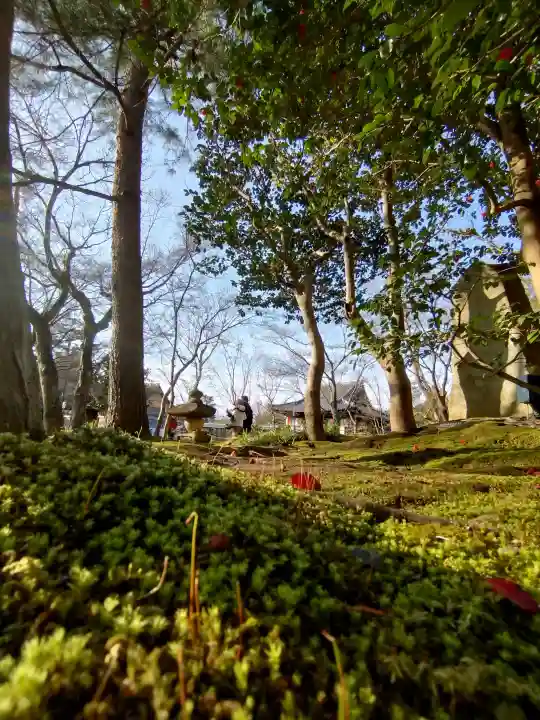 高台寺(高台寿聖禅寺・高臺寺)の{uncategorized: "未分類", other: "その他", undefined: "問題あり", building: "その他建物", grave: "お墓", sacred_gate: "鳥居", guardian: "狛犬", statue: "像", buddha: "仏像", history: "歴史", nature: "自然", garden: "庭園", animal: "動物", pagoda: "塔", temizu: "手水舎", mountain_gate: "山門・神門", sanctuary: "本殿・本堂", subordinate: "末社・摂社", art: "芸術", scenery: "景色", jizo: "地蔵", ema: "絵馬", goshuin: "御朱印", omikuji: "おみくじ", items: "授与品その他", amulet: "お守り", goshuincho: "御朱印帳", eats: "食事", festival: "お祭り", votive_dance: "神楽", shichigosan: "七五三参", wedding: "結婚式", experience: "体験その他", initially: "初詣", around: "周辺", anti_infection: "感染症対策"}