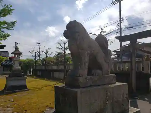 白山宮の狛犬