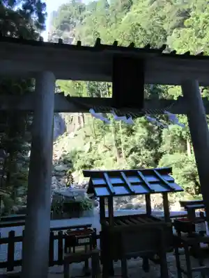飛瀧神社(熊野那智大社別宮)の鳥居