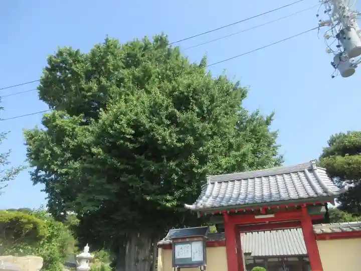 石蔵院(静岡県)