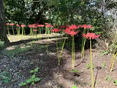 光明寺(長野県)