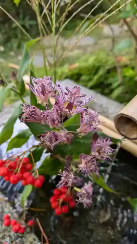 宝蔵寺(京都府)