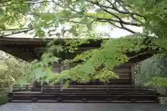 泰寧寺の本殿