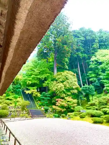 萬徳寺の景色