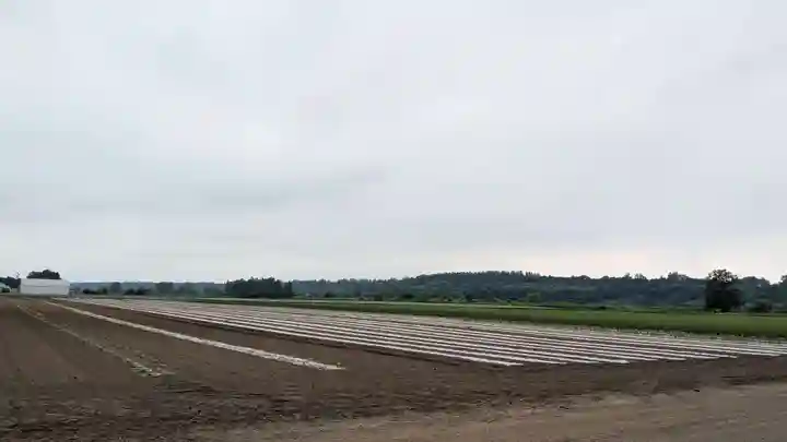 人舞神社の景色