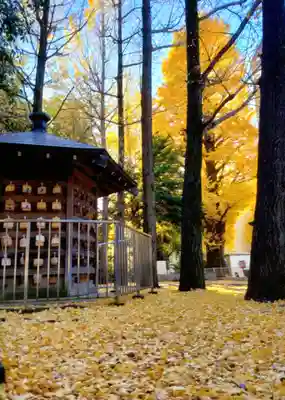 鳩森八幡神社(東京都)