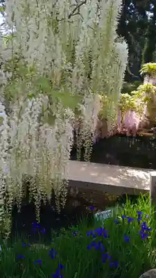歌泉堂(春日大社神苑萬葉植物園内鎮座)(奈良県)