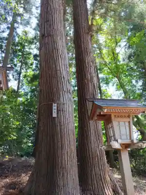 明石神社(福島県)