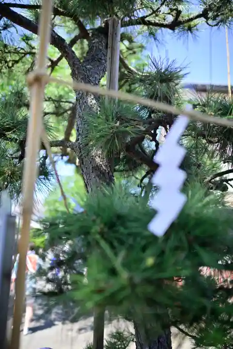相模国総社六所神社(神奈川県)