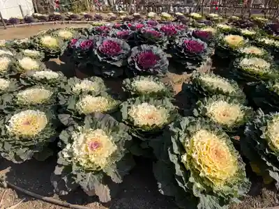 龍田大社(奈良県)