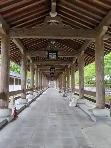 清大寺(越前大仏)(福井県)