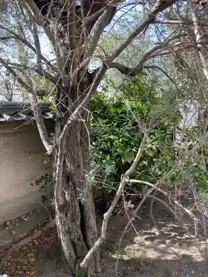 宝蔵寺のその他建物