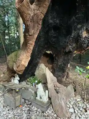 月夜見宮（豊受大神宮別宮）(三重県)