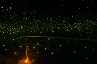 木舟山 順教寺(広島県)