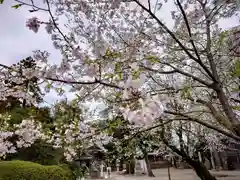 岩槻久伊豆神社(埼玉県)