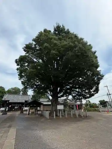 小泉神社(群馬県)