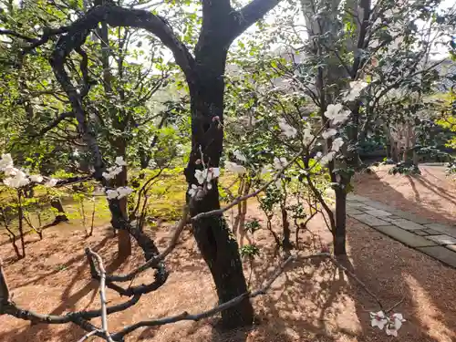 祥雲寺(東京都)