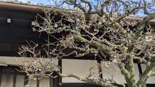 弘誓寺(京都府)