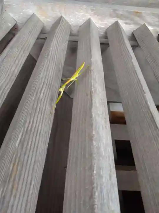 佐太神社(島根県)