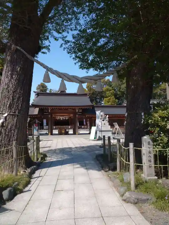 亀ケ池八幡宮のその他建物