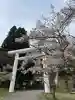 土津神社|こどもと出世の神さまの{uncategorized: "未分類", other: "その他", undefined: "問題あり", building: "その他建物", grave: "お墓", sacred_gate: "鳥居", guardian: "狛犬", statue: "像", buddha: "仏像", history: "歴史", nature: "自然", garden: "庭園", animal: "動物", pagoda: "塔", temizu: "手水舎", mountain_gate: "山門・神門", sanctuary: "本殿・本堂", subordinate: "末社・摂社", art: "芸術", scenery: "景色", jizo: "地蔵", ema: "絵馬", goshuin: "御朱印", omikuji: "おみくじ", items: "授与品その他", amulet: "お守り", goshuincho: "御朱印帳", eats: "食事", festival: "お祭り", votive_dance: "神楽", shichigosan: "七五三参", wedding: "結婚式", experience: "体験その他", initially: "初詣", around: "周辺", anti_infection: "感染症対策"}