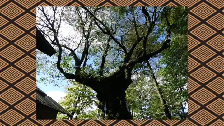 熊野皇大神社(長野県)