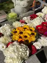 新川皇大神社の手水