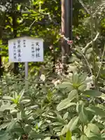 阿佐ヶ谷神明宮(東京都)