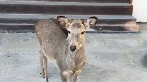 東大寺(奈良県)