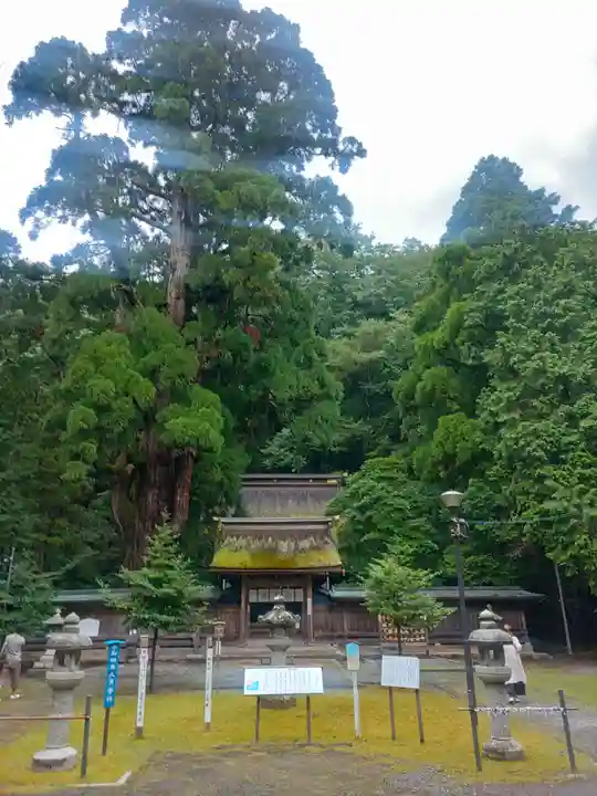 若狭姫神社(若狭彦神社下社)(福井県)