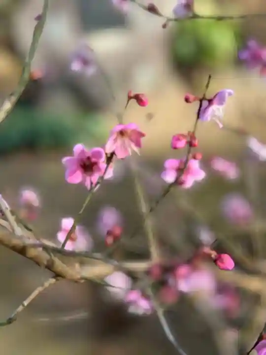 葛原岡神社(神奈川県)