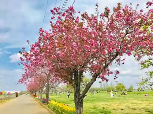 布施弁天 東海寺の自然