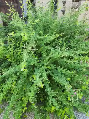 東光院(大阪府)