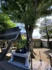 新井天神北野神社の像