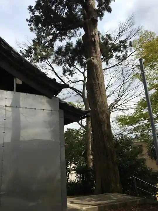 八坂神社のその他建物