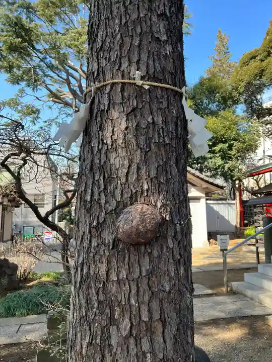 用賀神社(東京都)