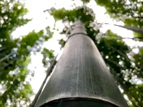 野宮神社の自然