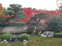 天得院(京都府)