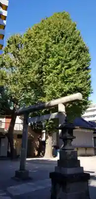 北野神社の鳥居