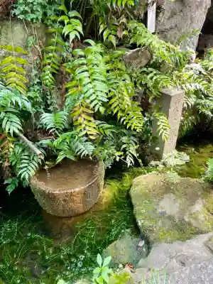奥澤神社(東京都)