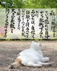 専念寺(大阪府)(2022年06月04日(土) 20時33分49秒投稿)