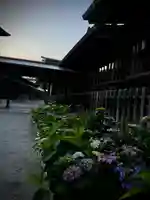 十日恵比須神社(福岡県)