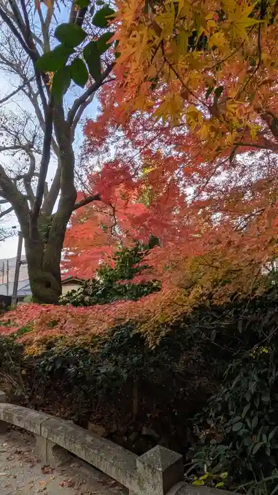 大石神社(京都府)