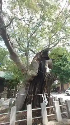 阿邪訶根神社(福島県)