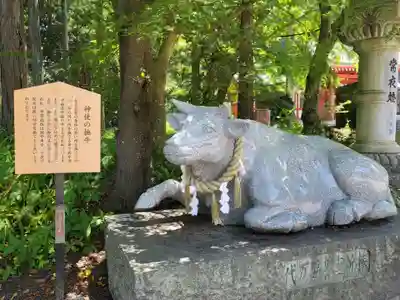 冨士御室浅間神社(山梨県)