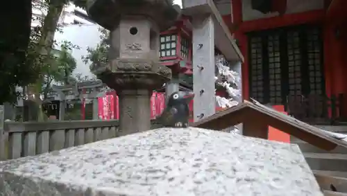 くまくま神社(導きの社 熊野町熊野神社)のその他建物