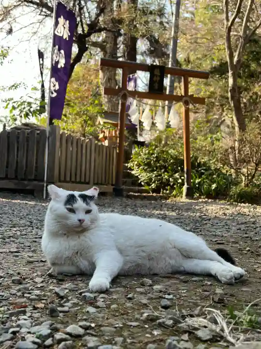 唐澤山神社の{uncategorized: "未分類", other: "その他", undefined: "問題あり", building: "その他建物", grave: "お墓", sacred_gate: "鳥居", guardian: "狛犬", statue: "像", buddha: "仏像", history: "歴史", nature: "自然", garden: "庭園", animal: "動物", pagoda: "塔", temizu: "手水舎", mountain_gate: "山門・神門", sanctuary: "本殿・本堂", subordinate: "末社・摂社", art: "芸術", scenery: "景色", jizo: "地蔵", ema: "絵馬", goshuin: "御朱印", omikuji: "おみくじ", items: "授与品その他", amulet: "お守り", goshuincho: "御朱印帳", eats: "食事", festival: "お祭り", votive_dance: "神楽", shichigosan: "七五三参", wedding: "結婚式", experience: "体験その他", initially: "初詣", around: "周辺", anti_infection: "感染症対策"}