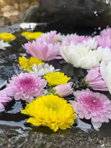 大鏑神社の手水